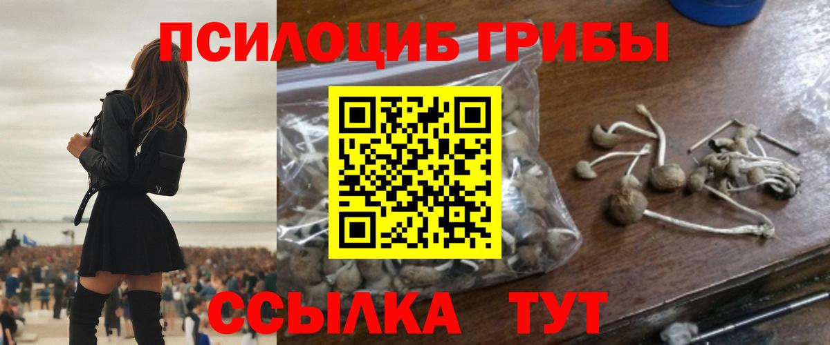 Севастополь  Псилоцибиновые грибы Psilocybine cubensis  Вход с VPN  Галлюциногенные грибы MAGIC MUSHROOMS 